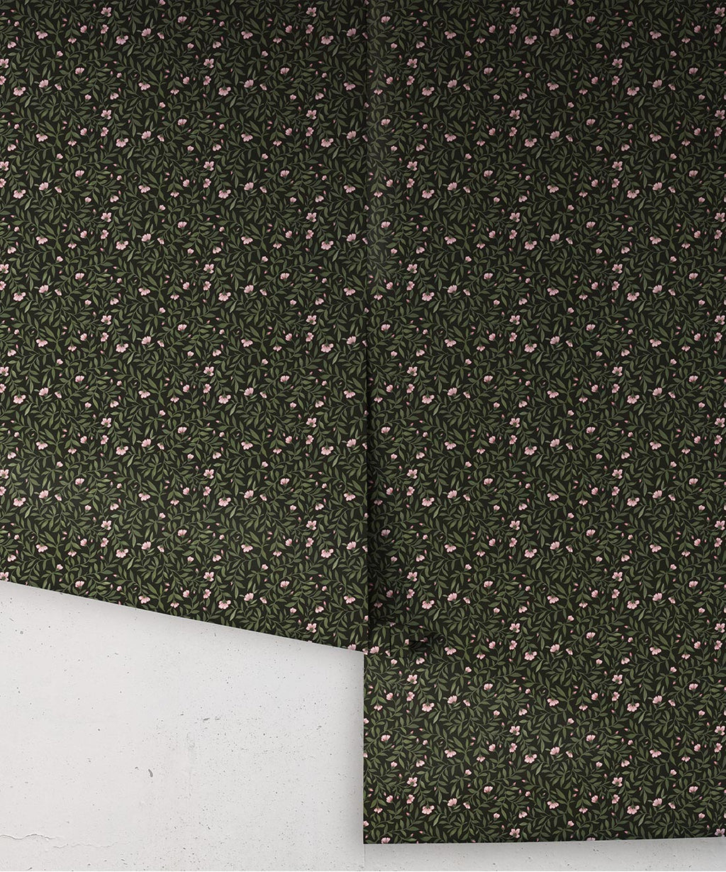 Wild Violet Wallpaper, Jewel
