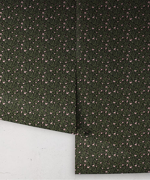 Wild Violet Wallpaper, Jewel