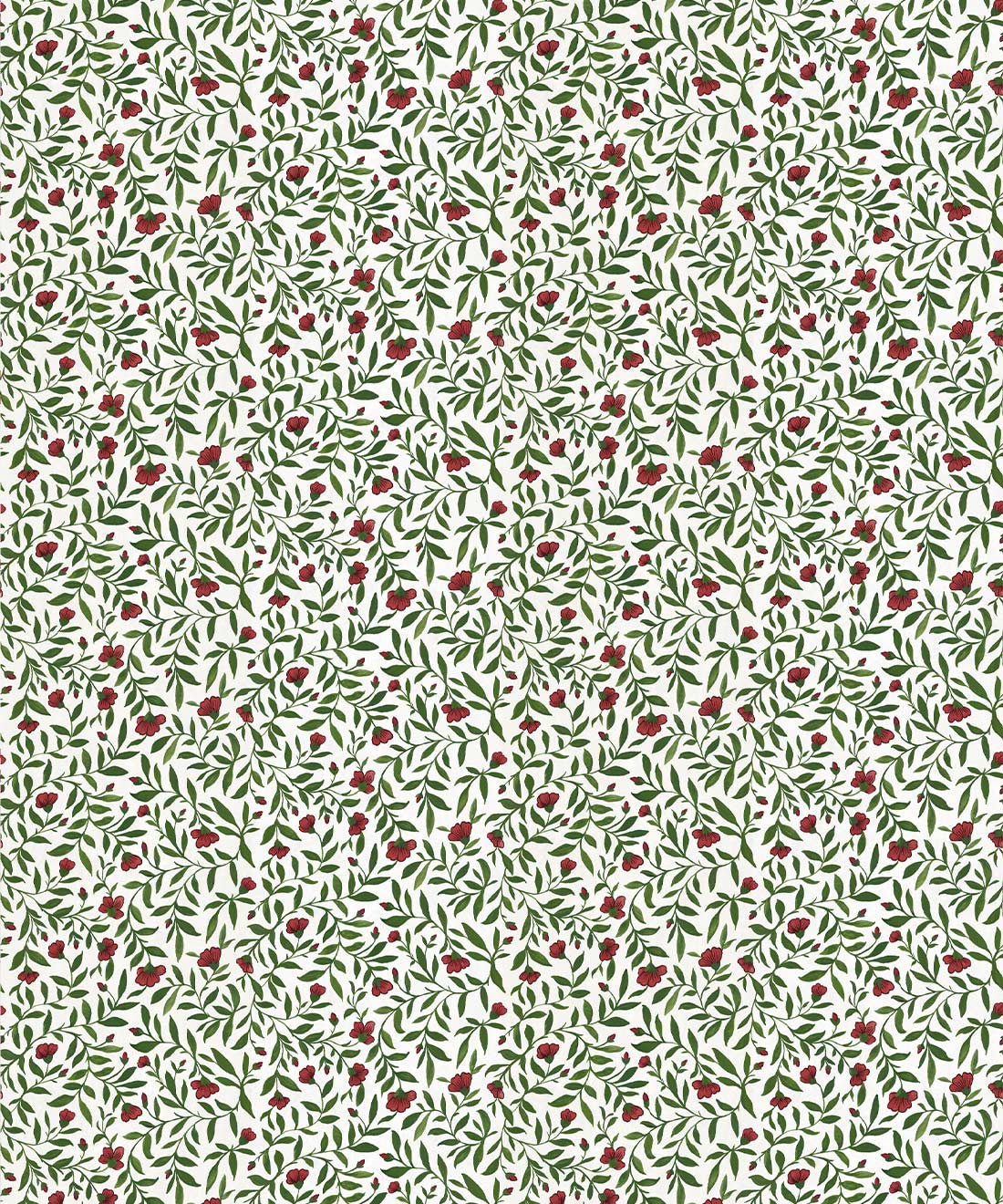 Wild Violet Wallpaper, Ruby
