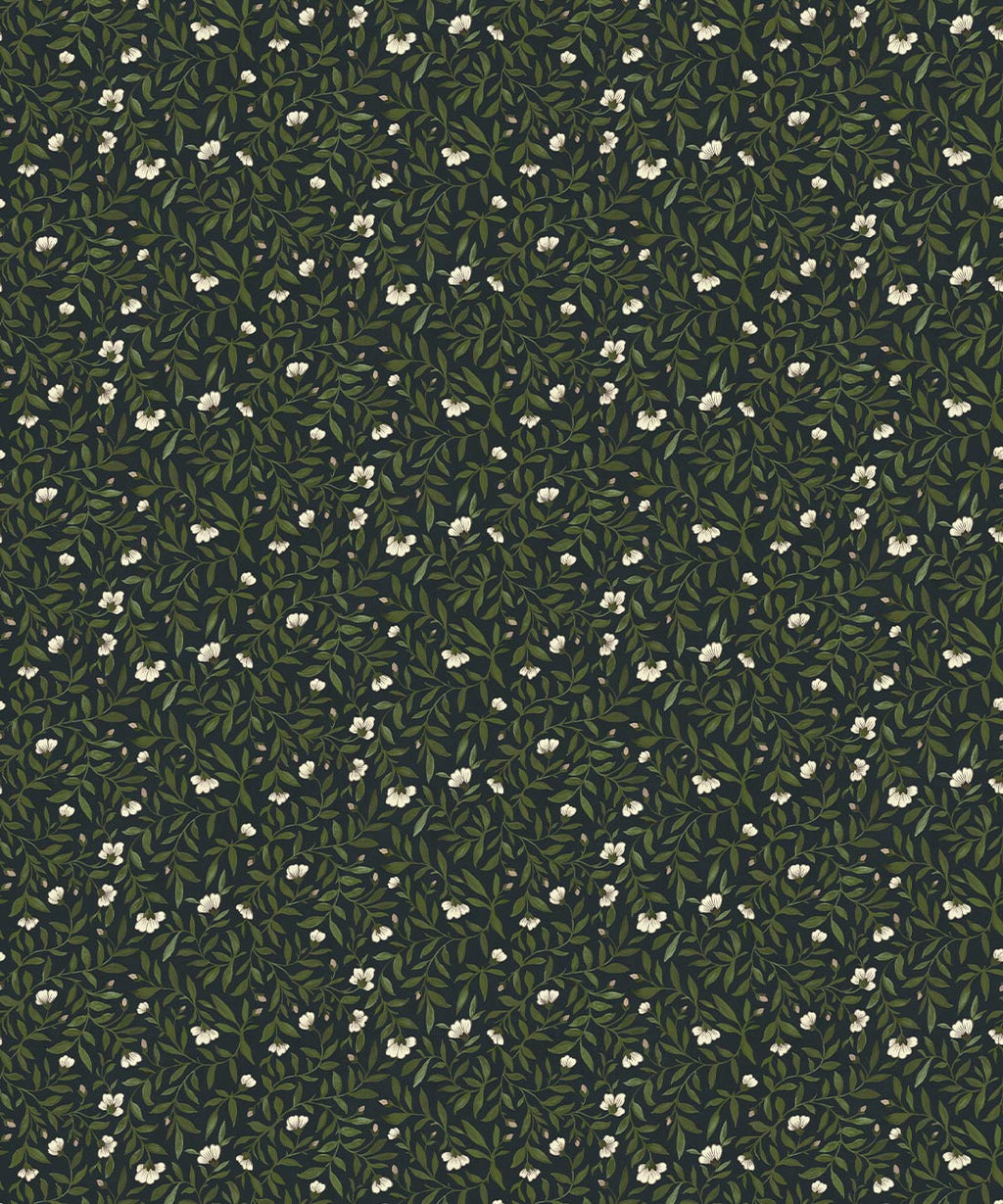 Wild Violet Wallpaper, Topaz
