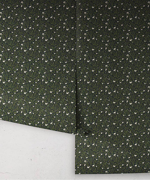 Wild Violet Wallpaper, Topaz