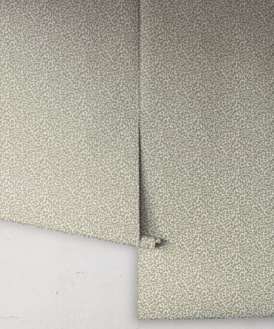 Coral Wallpaper, Sage