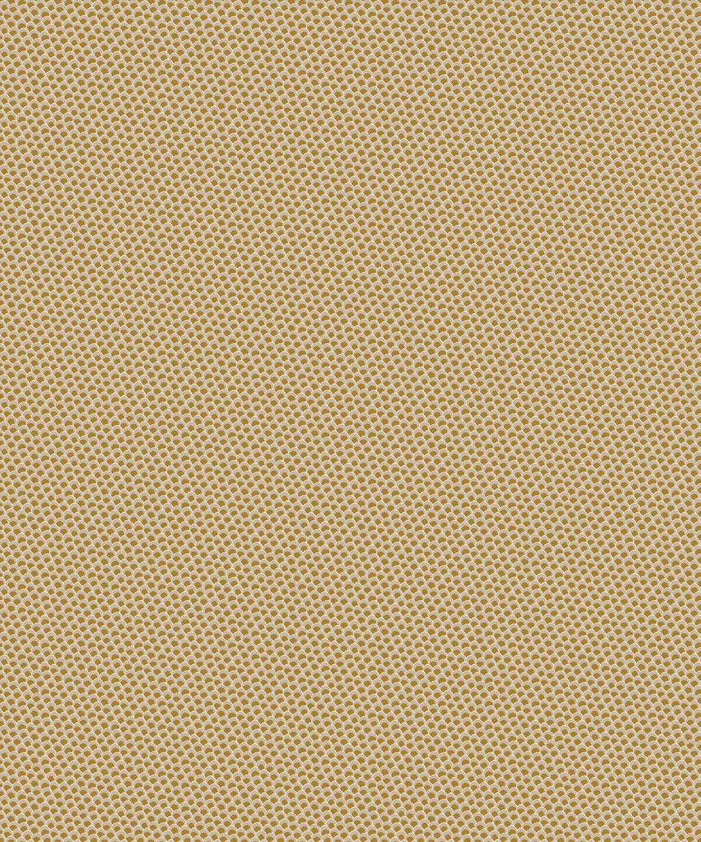 Pip Wallpaper, Golden
