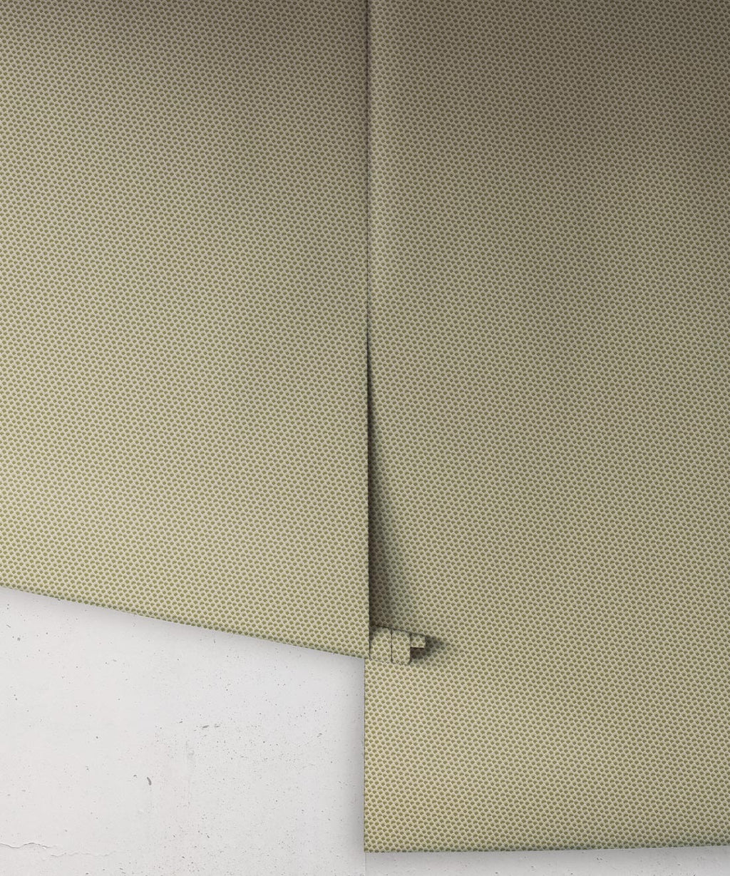 Pip Wallpaper, Olive