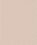 Buttercup Wallpaper, Blush