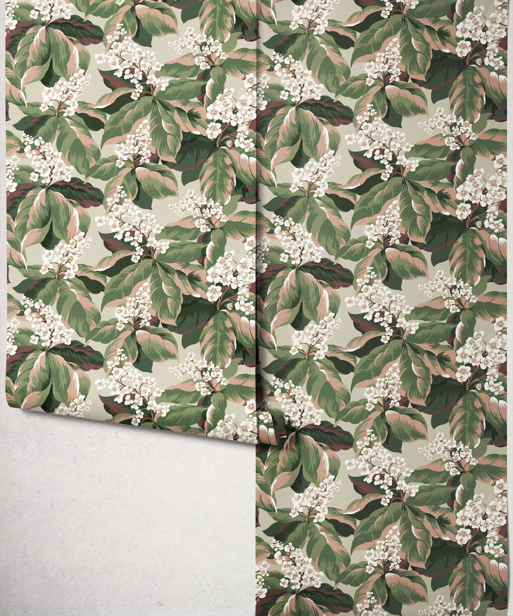 Horse Chestnut Wallpaper, Blush