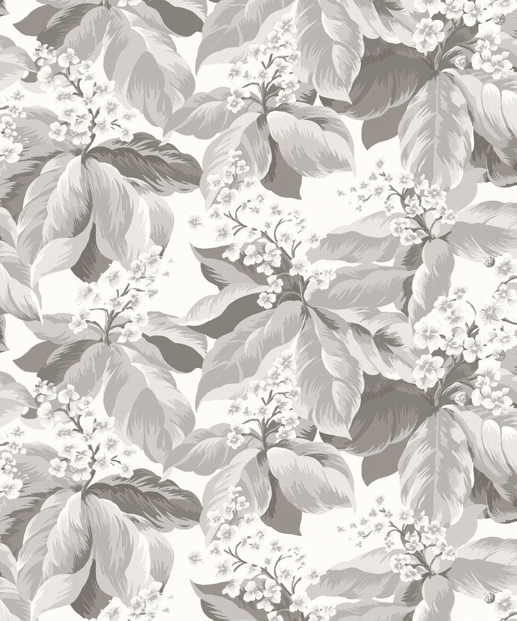 Horse Chestnut Wallpaper, Dove