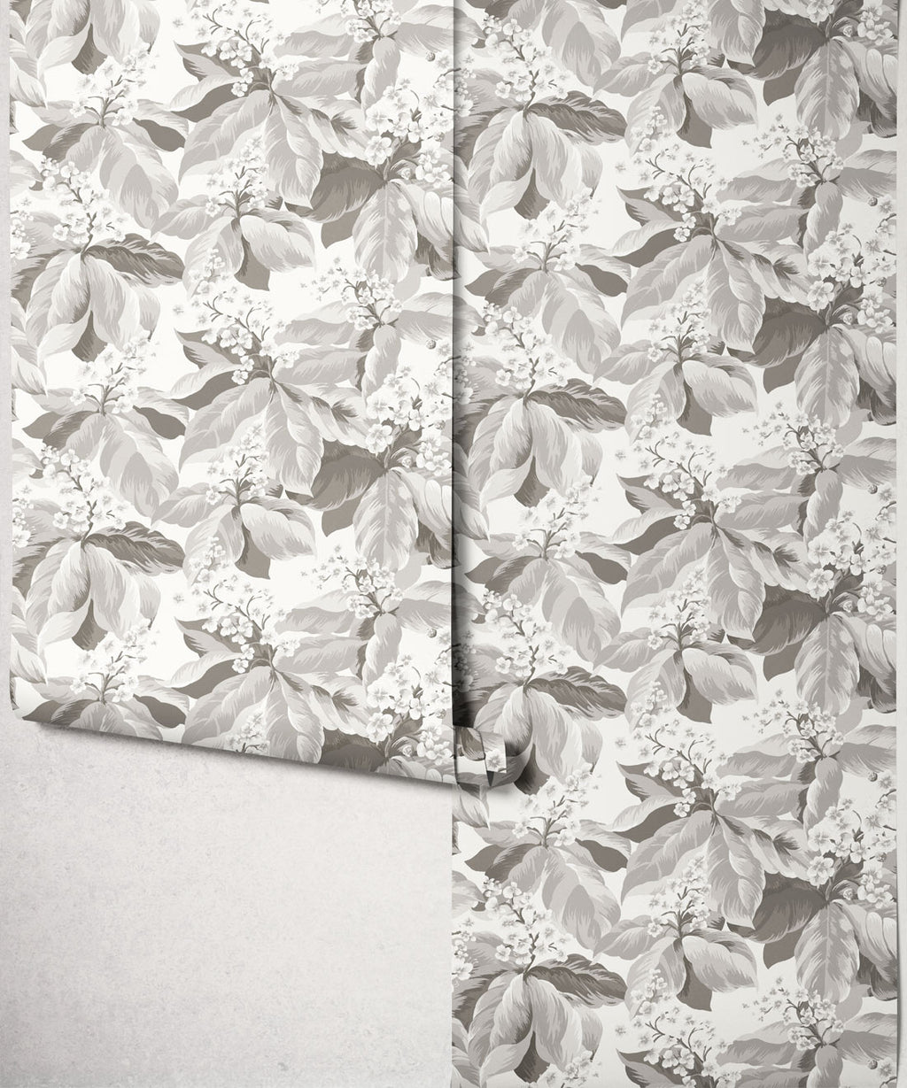 Horse Chestnut Wallpaper, Dove