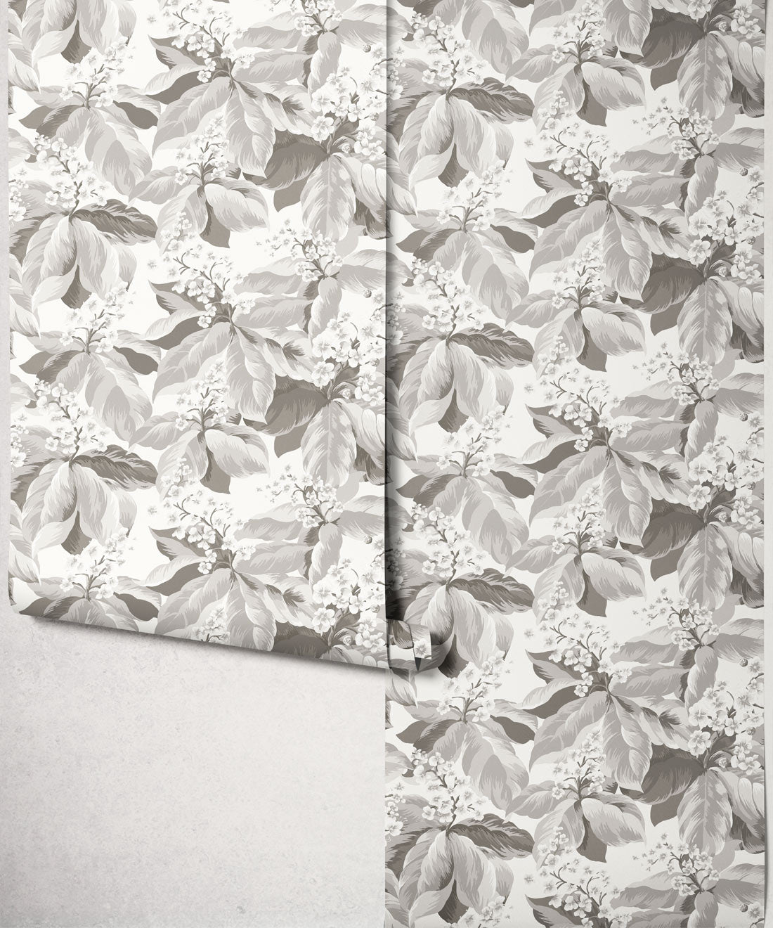 Horse Chestnut Wallpaper, Dove