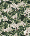 Horse Chestnut Wallpaper, Forest