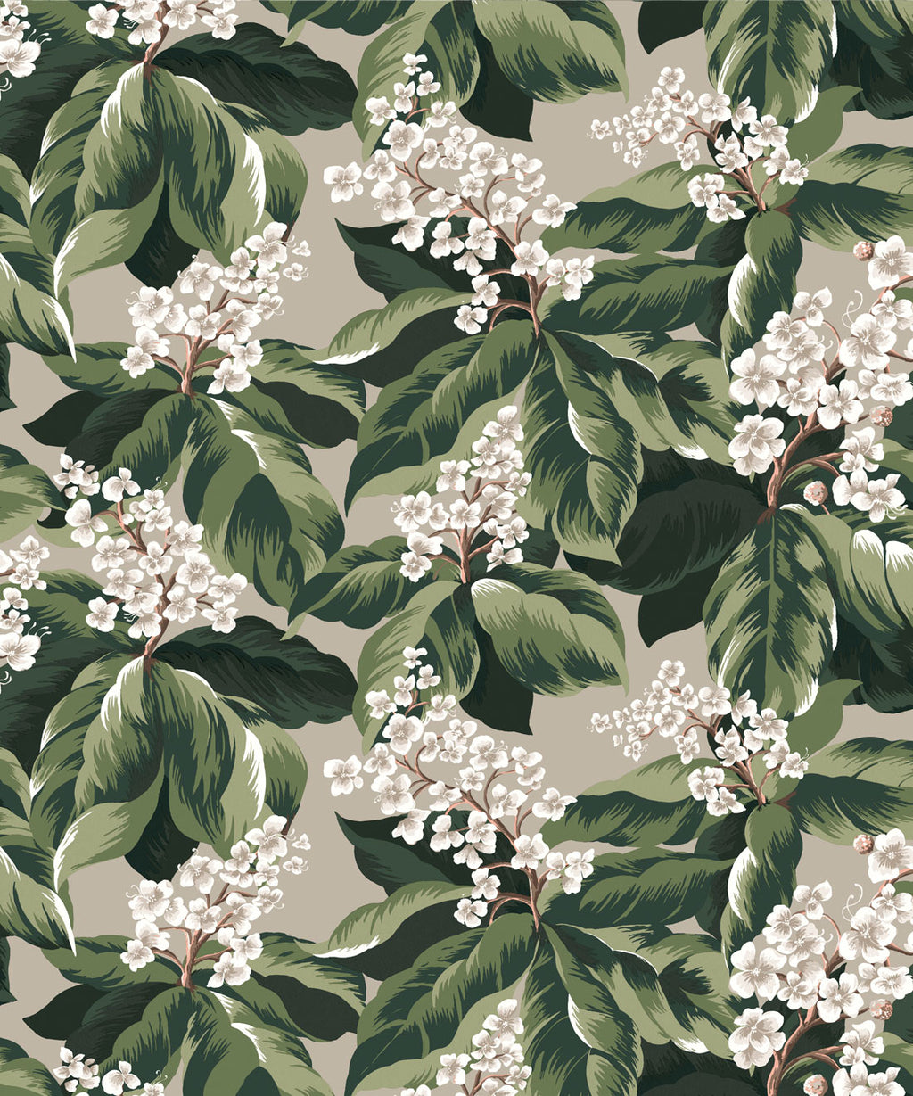 Horse Chestnut Wallpaper, Forest