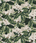 Horse Chestnut Wallpaper, Forest