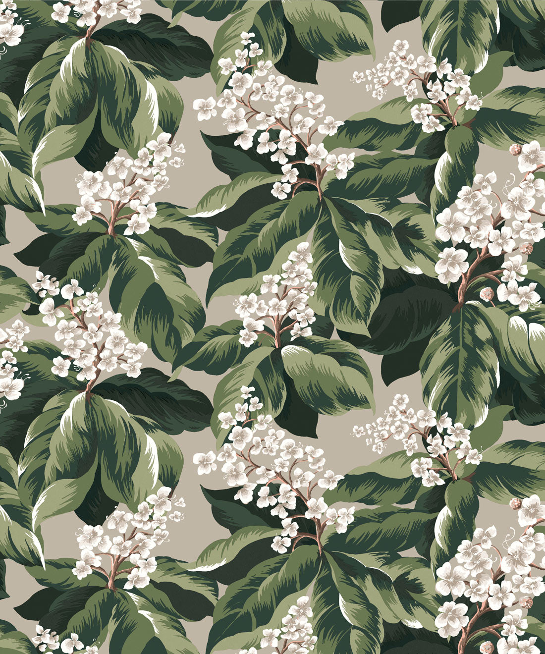 Horse Chestnut Wallpaper, Forest