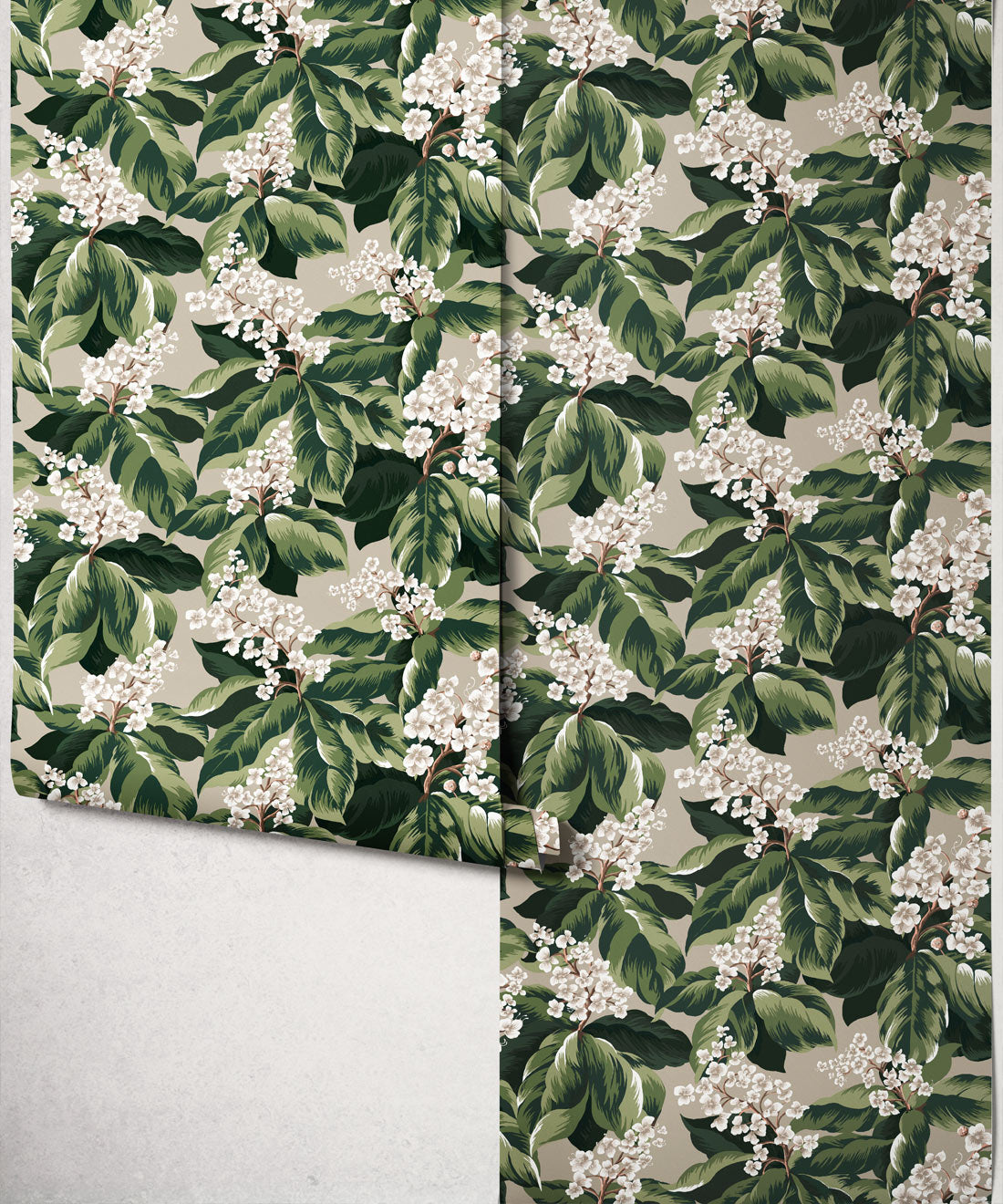 Horse Chestnut Wallpaper, Forest
