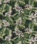 Horse Chestnut Wallpaper, Night
