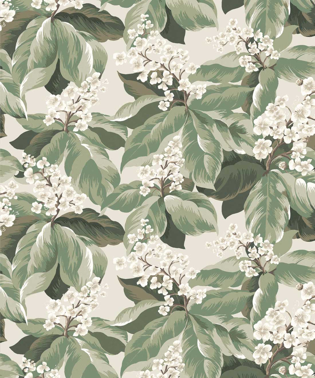 Horse Chestnut Wallpaper, Sage