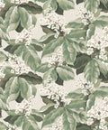 Horse Chestnut Wallpaper, Sage