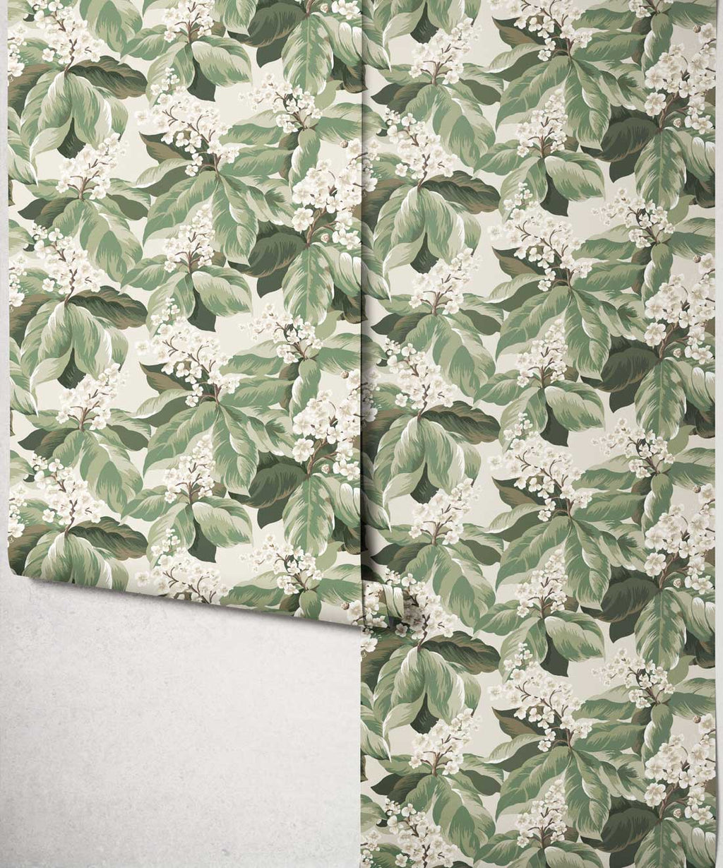 Horse Chestnut Wallpaper, Sage
