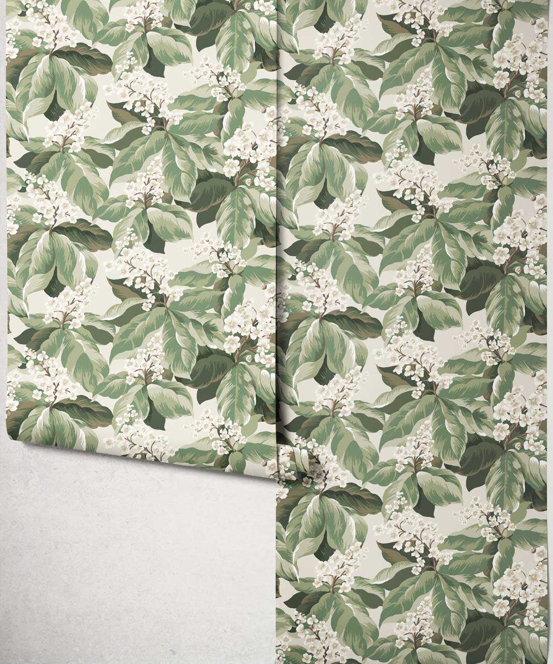 Horse Chestnut Wallpaper, Sage