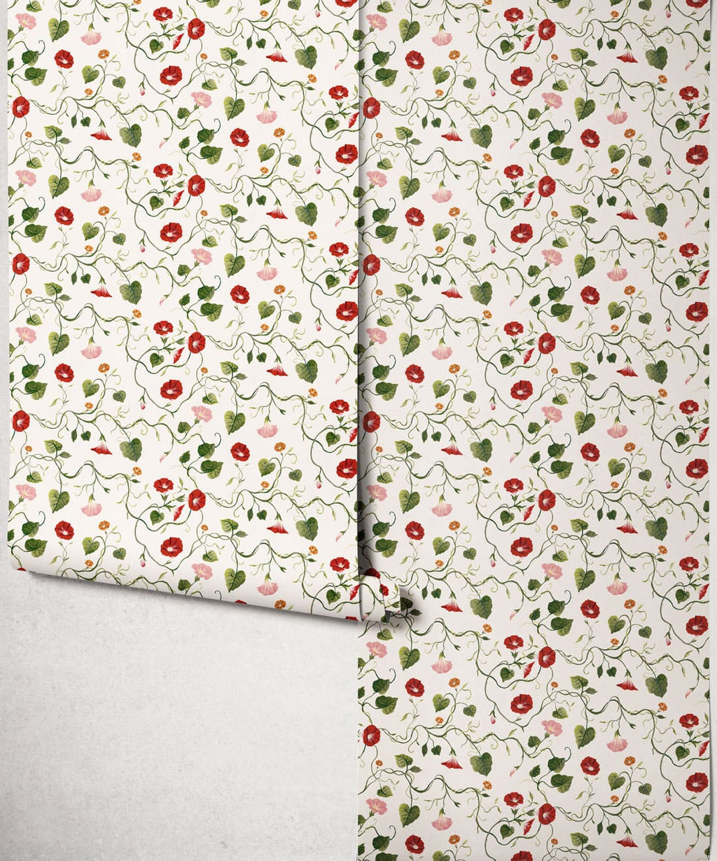 Moonflower Wallpaper, Apricot