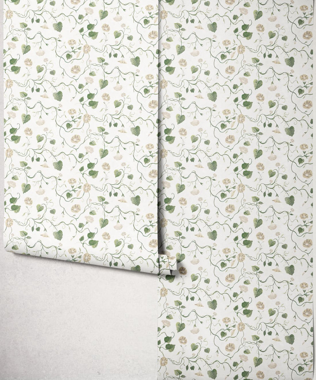 Moonflower Wallpaper, Sage