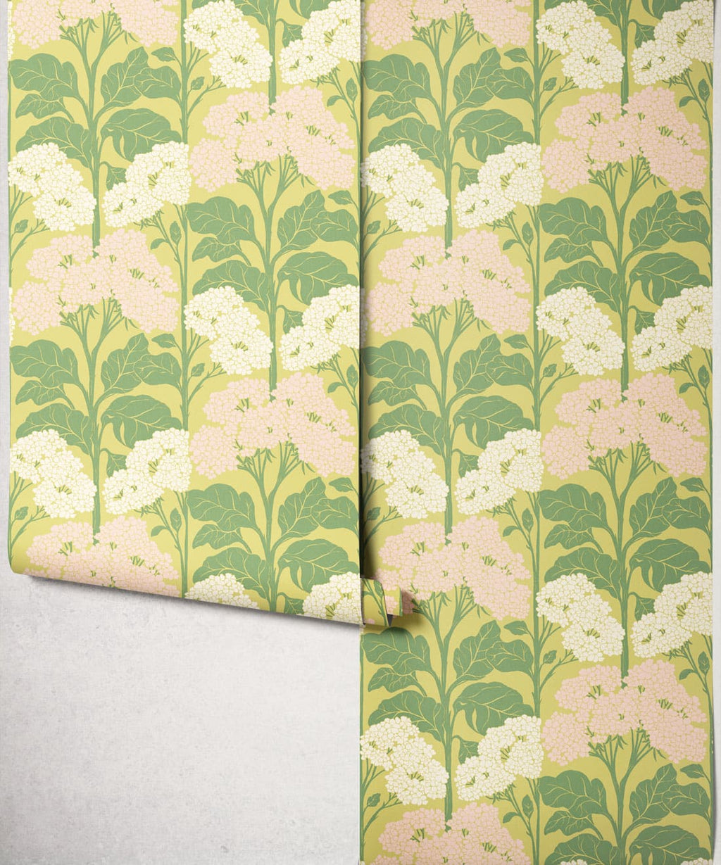 Cow Parsley Wallpaper, Chartreuse