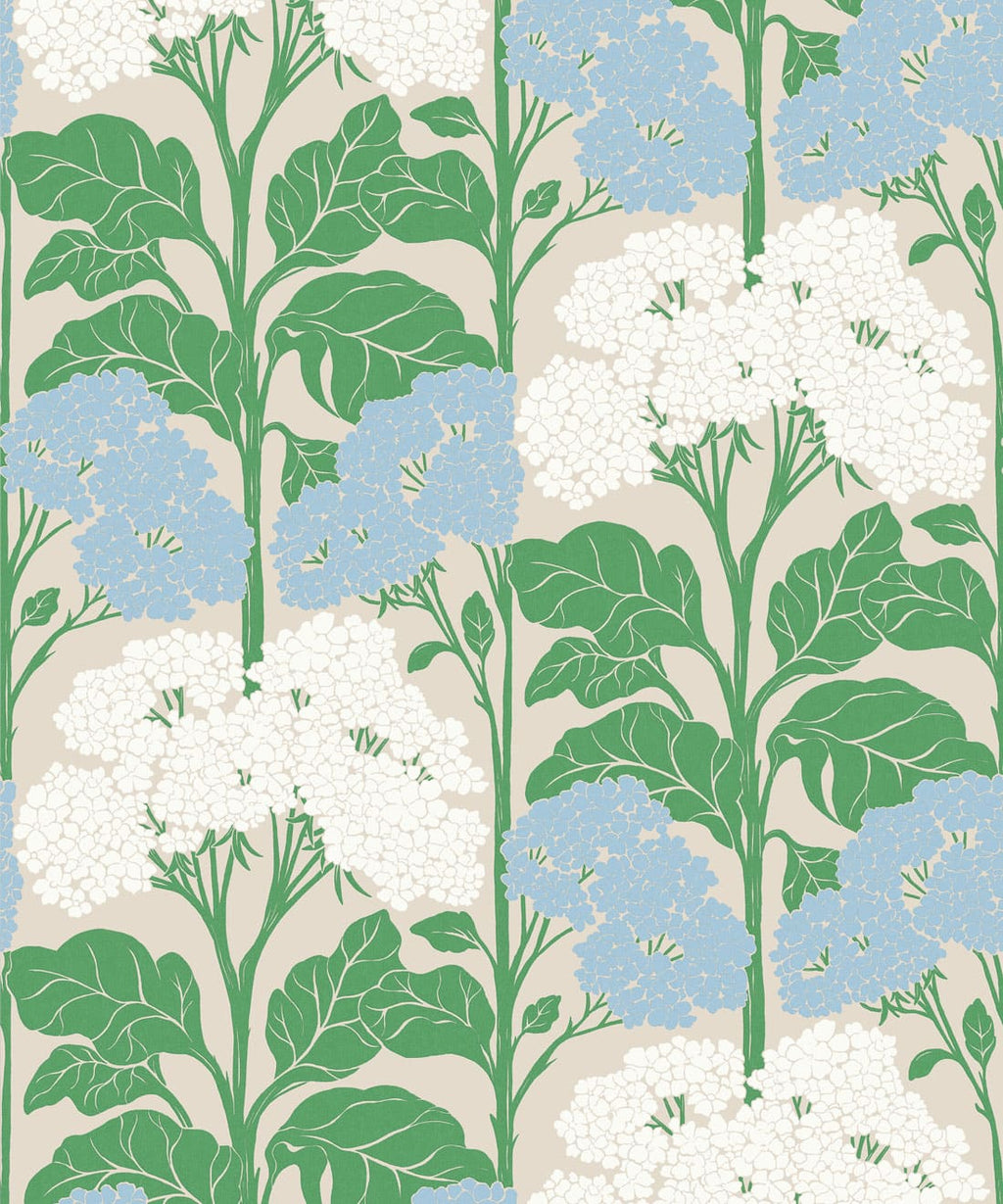 Cow Parsley Wallpaper, Powder