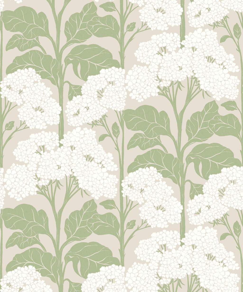 Cow Parsley Wallpaper, Sage