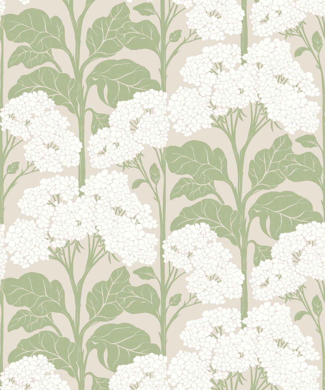 Cow Parsley Wallpaper, Sage