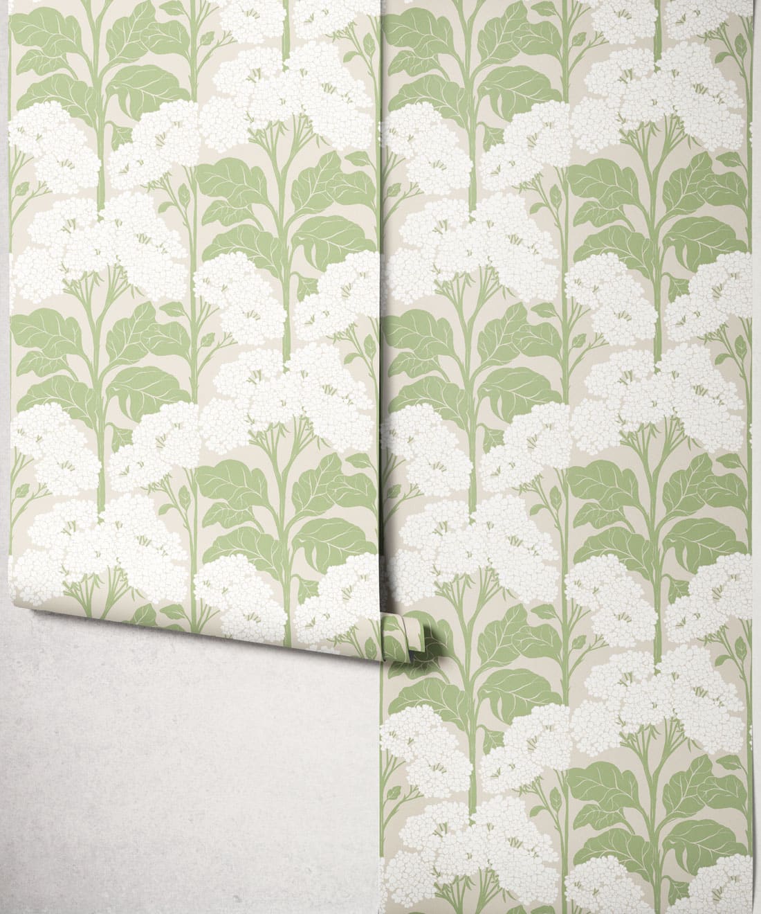 Cow Parsley Wallpaper, Sage