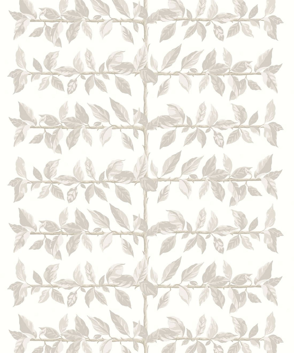Pergola Wallpaper, Birch