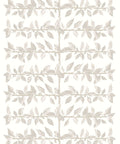 Pergola Wallpaper, Birch
