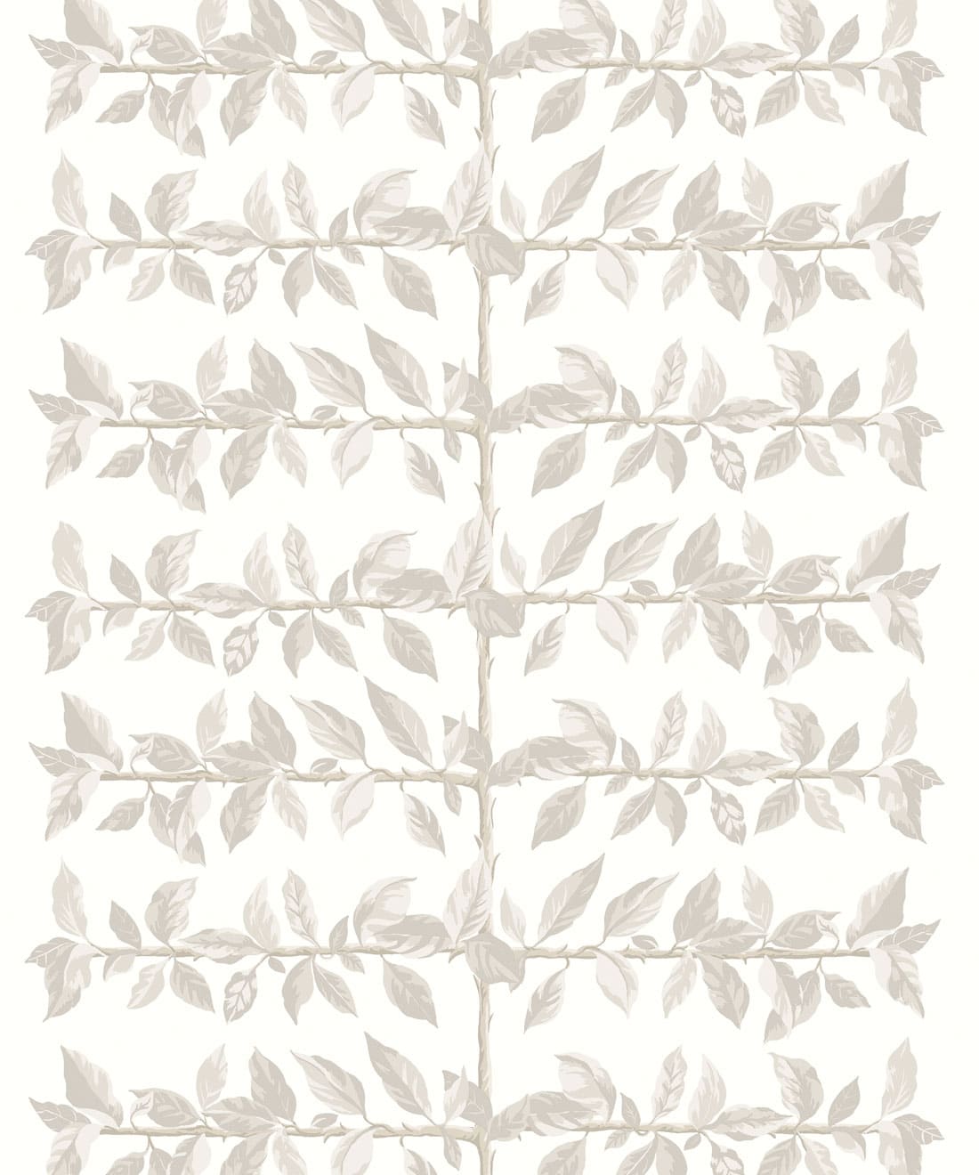 Pergola Wallpaper, Birch