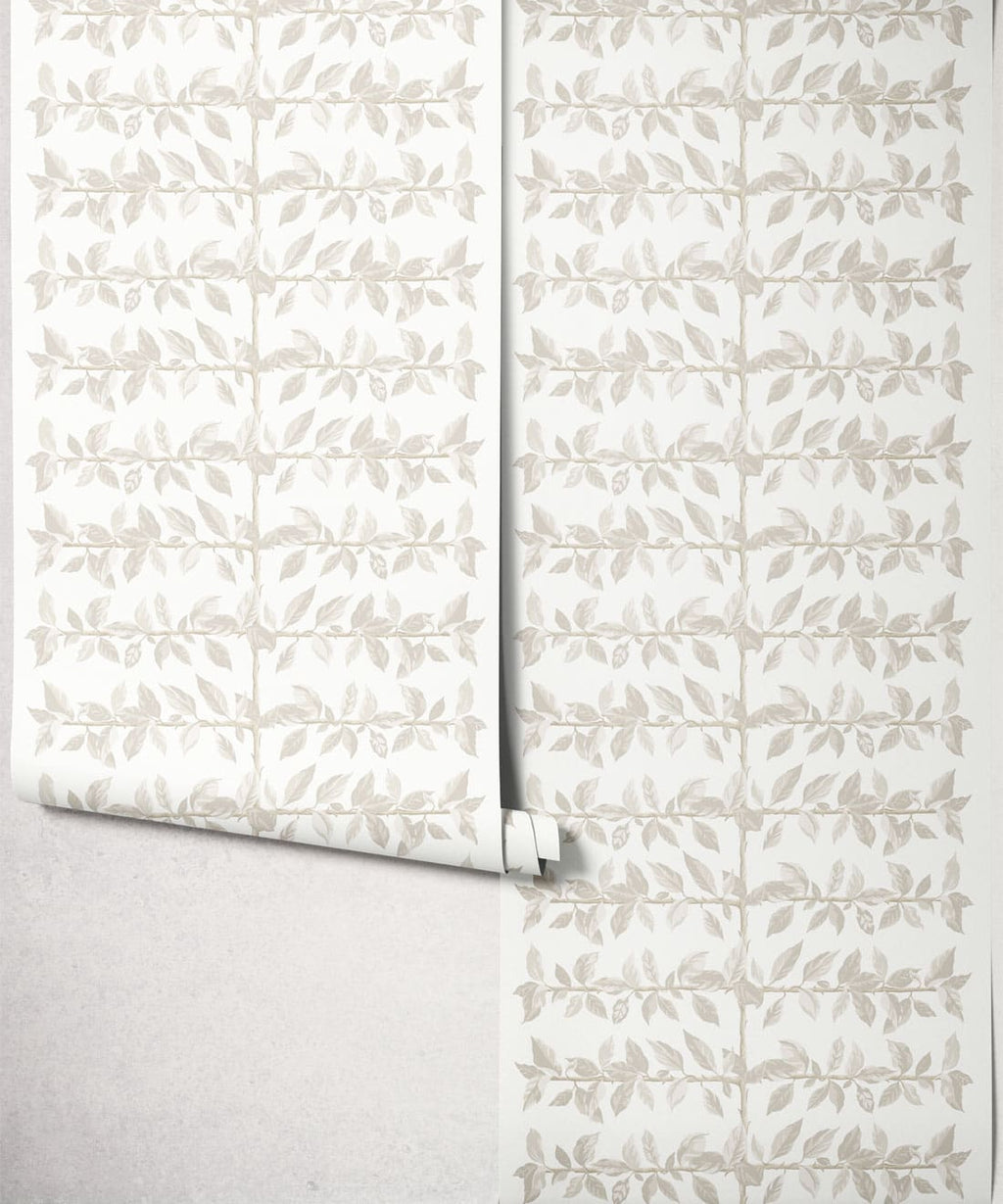 Pergola Wallpaper, Birch