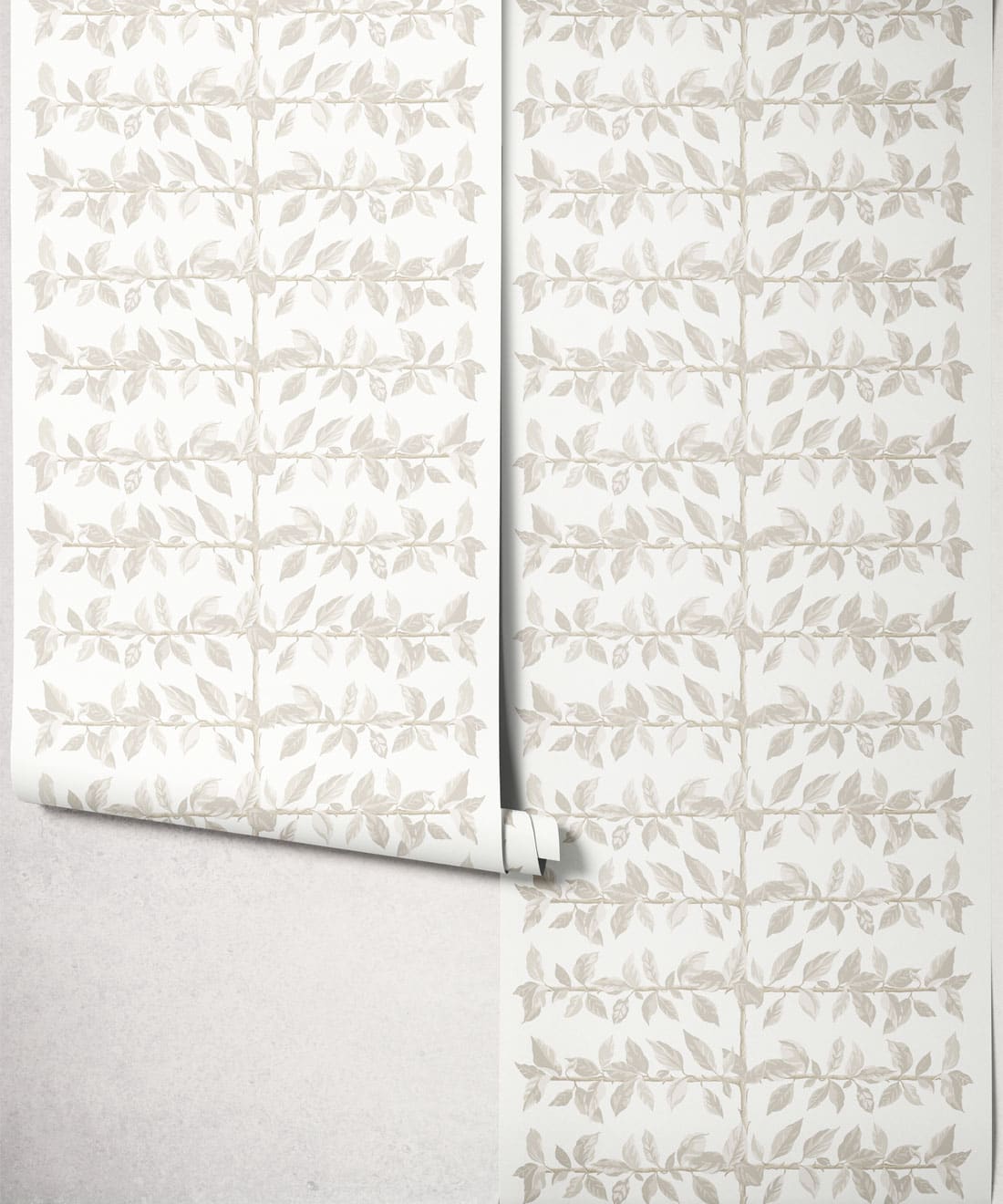 Pergola Wallpaper, Birch