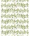 Pergola Wallpaper, Chartreuse