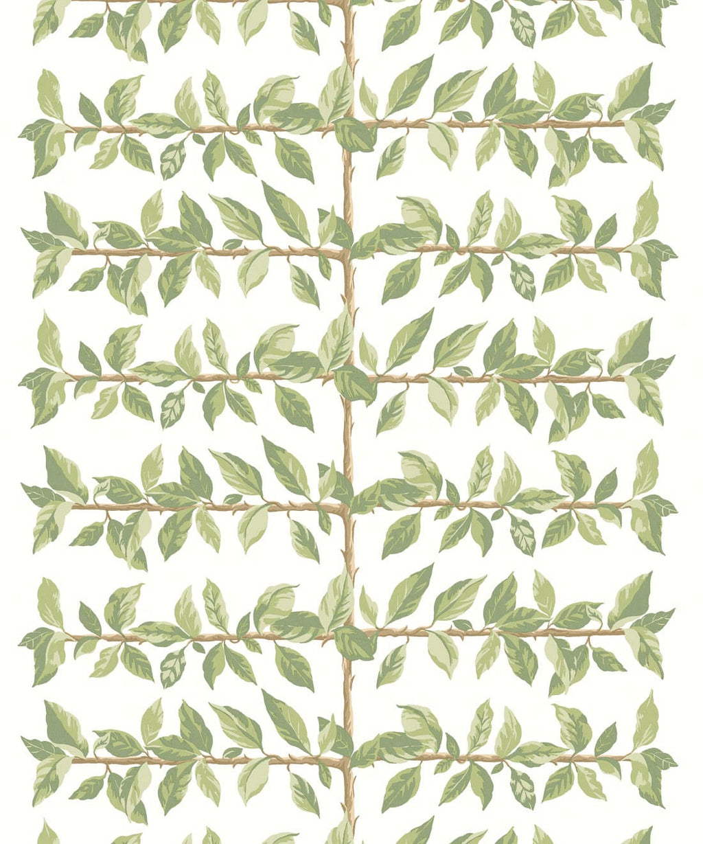 Pergola Wallpaper, Chartreuse