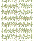 Pergola Wallpaper, Chartreuse
