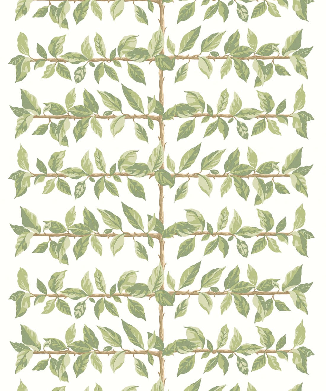 Pergola Wallpaper, Chartreuse