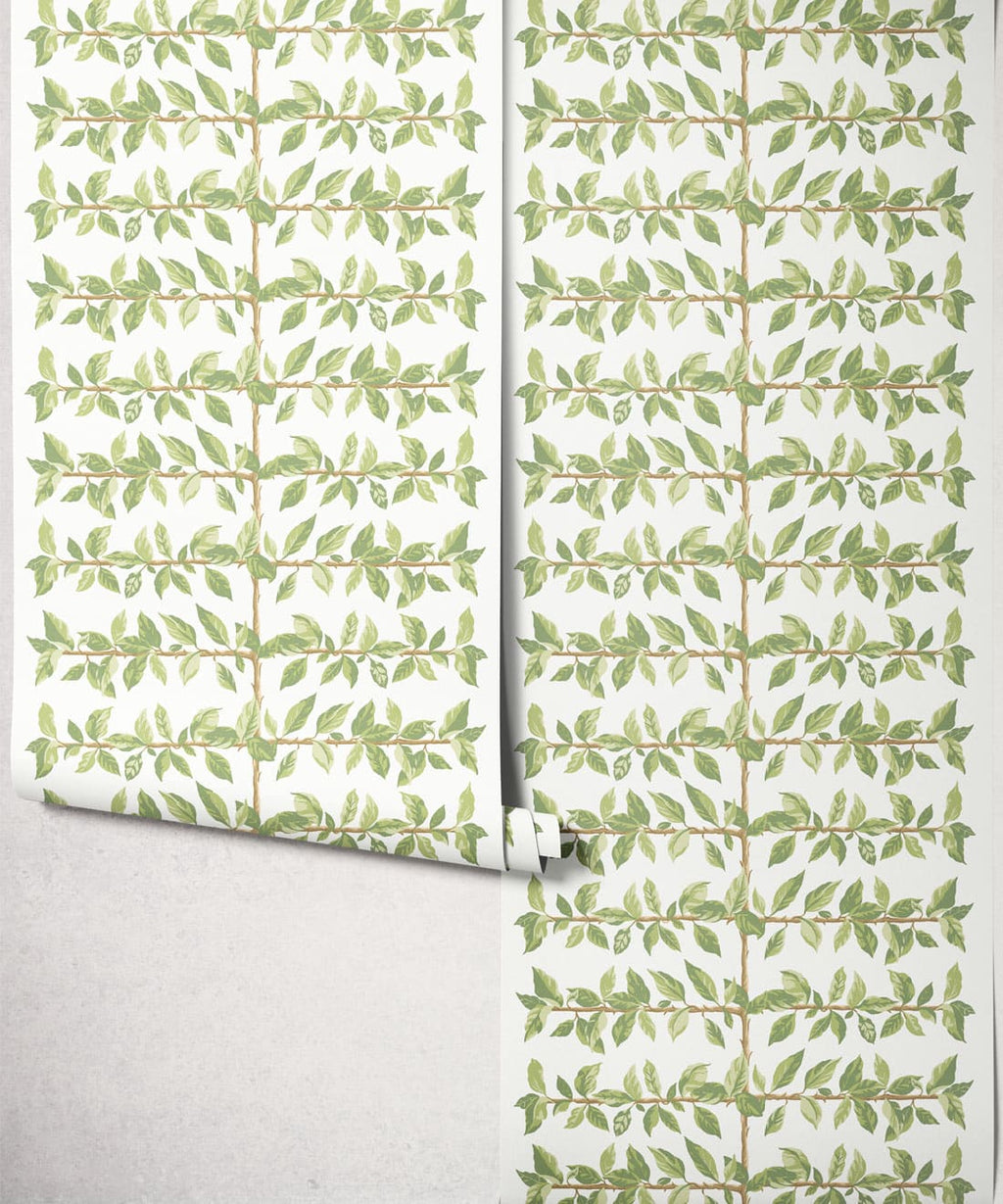 Pergola Wallpaper, Chartreuse