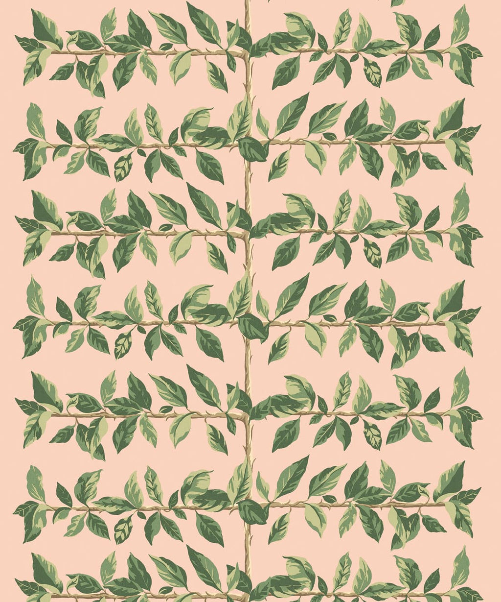 Pergola Wallpaper, Dusky