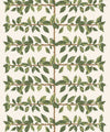 Pergola Wallpaper, Fern