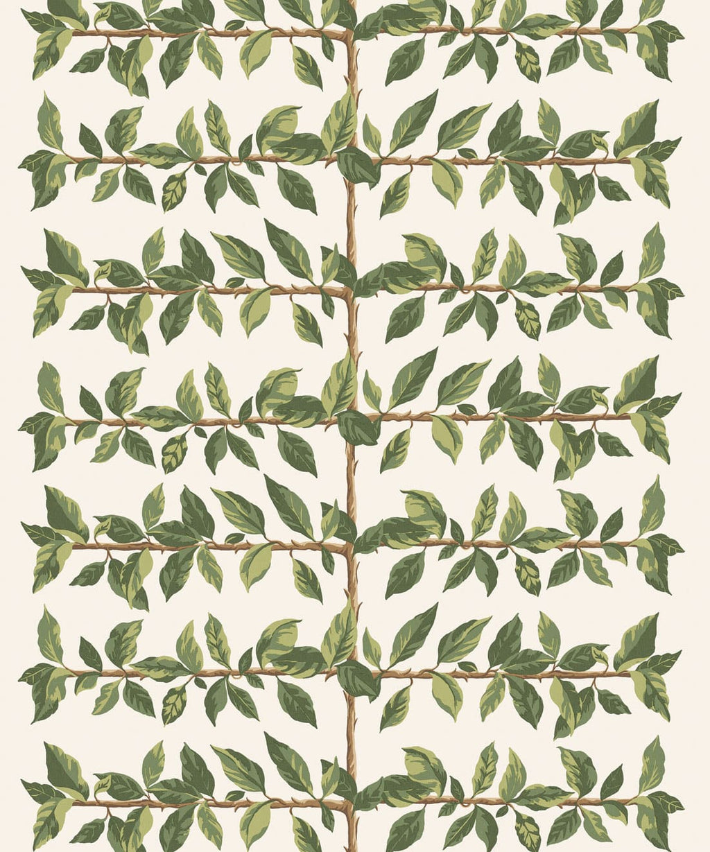 Pergola Wallpaper, Fern