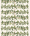 Pergola Wallpaper, Fern