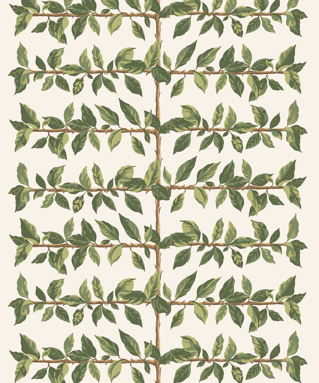 Pergola Wallpaper, Fern