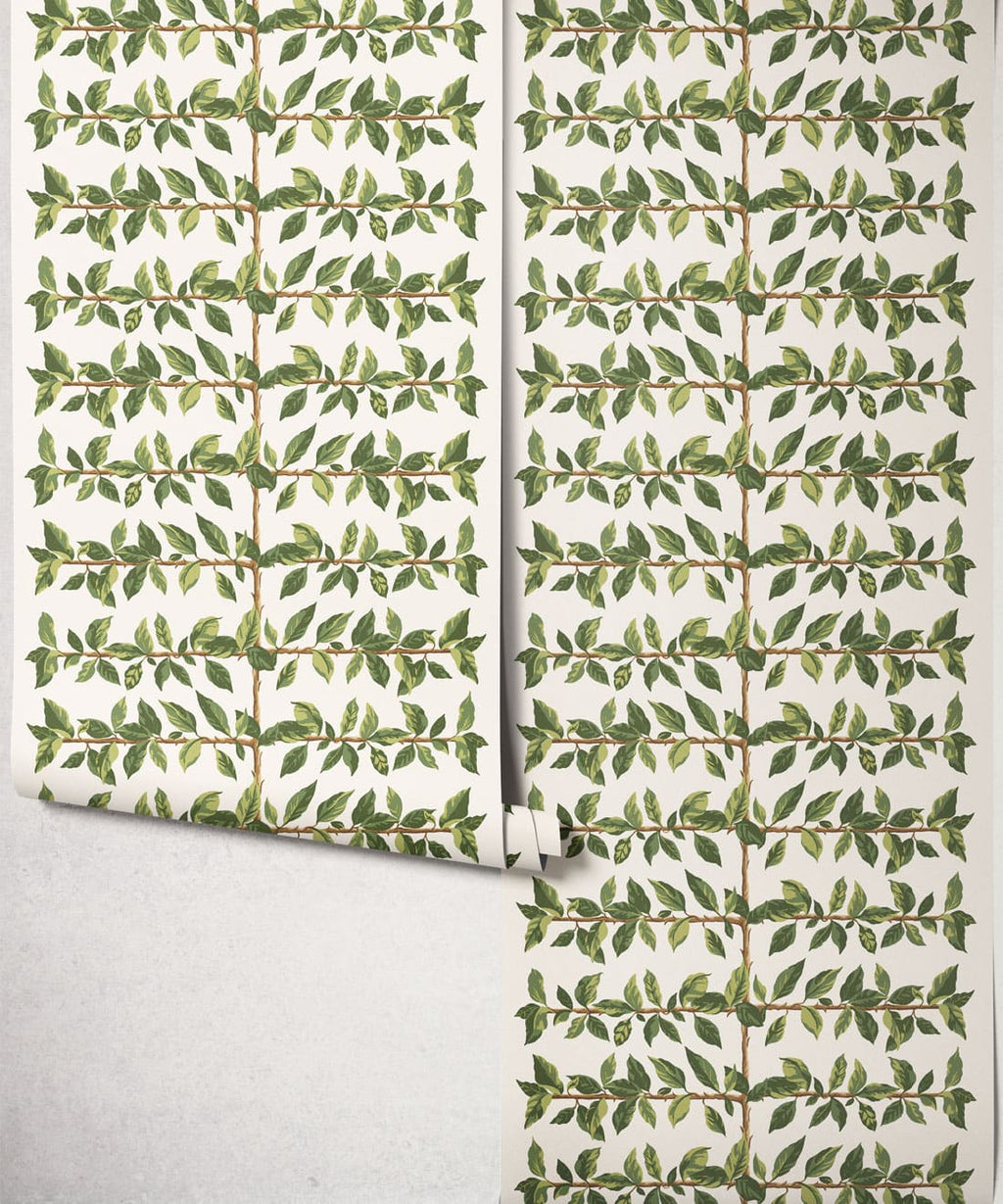 Pergola Wallpaper, Fern