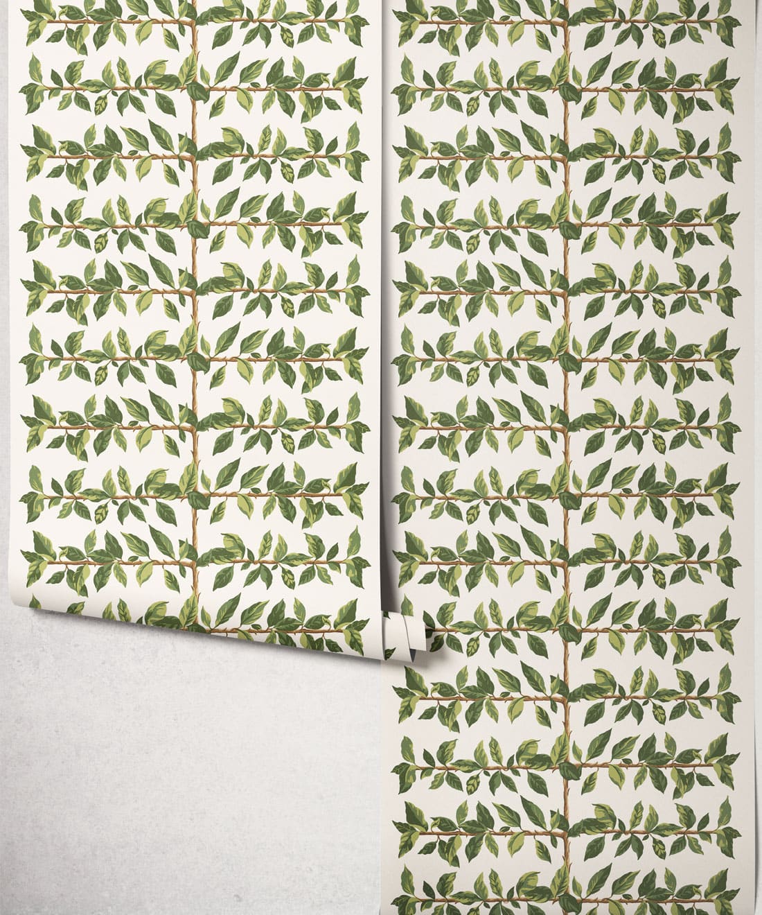 Pergola Wallpaper, Fern