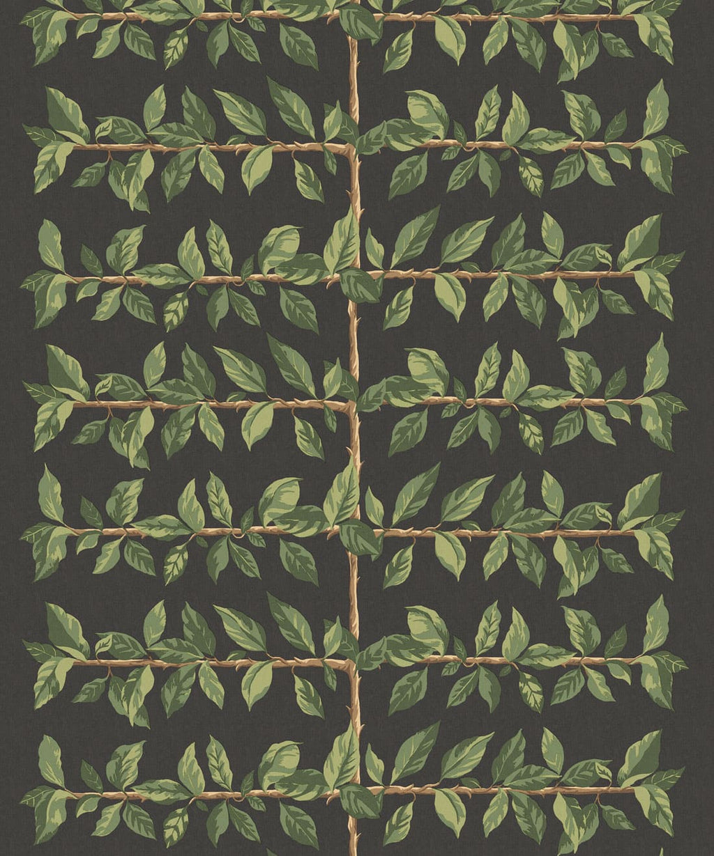 Pergola Wallpaper, Night