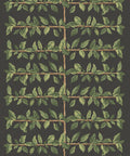 Pergola Wallpaper, Night