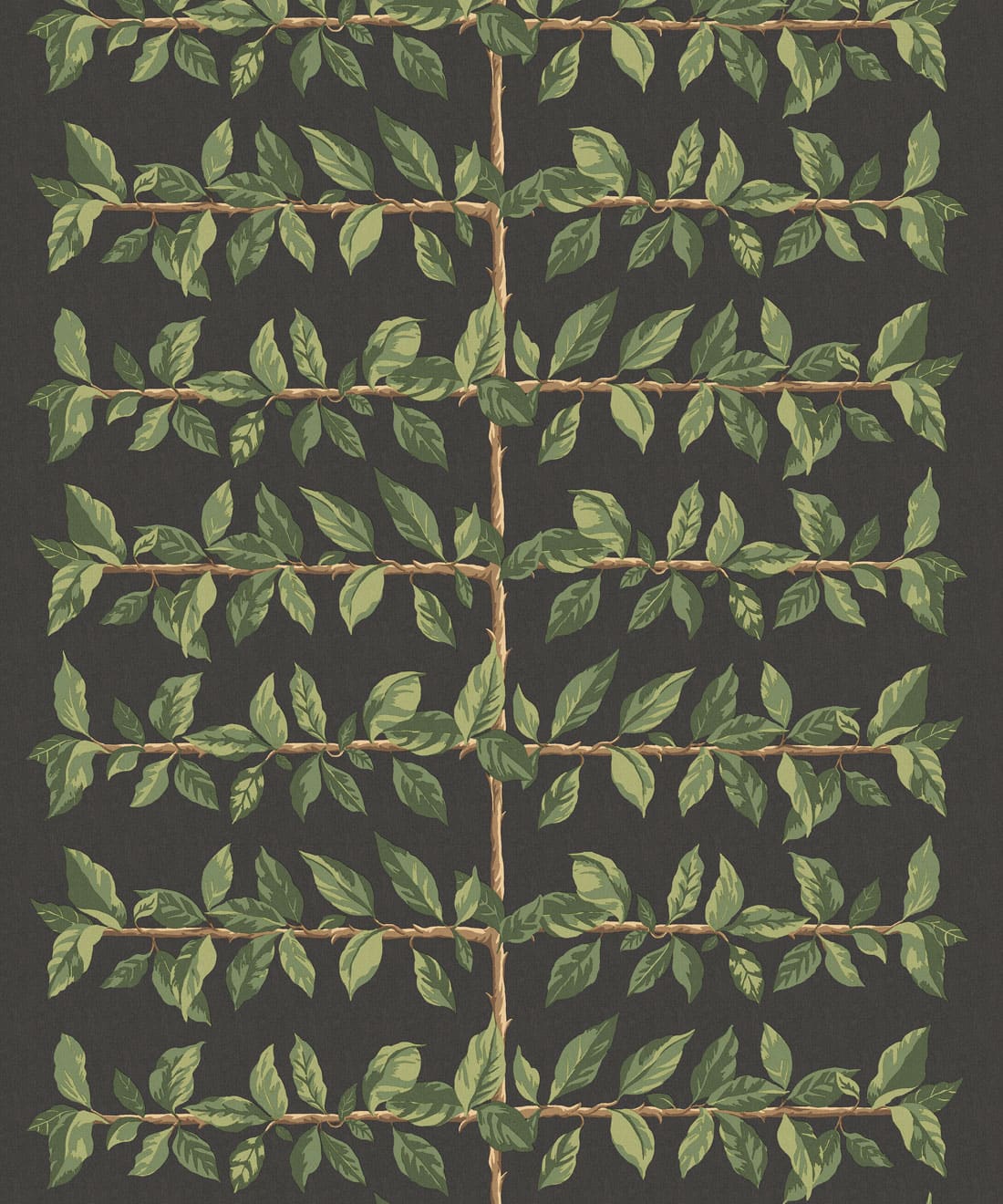 Pergola Wallpaper, Night
